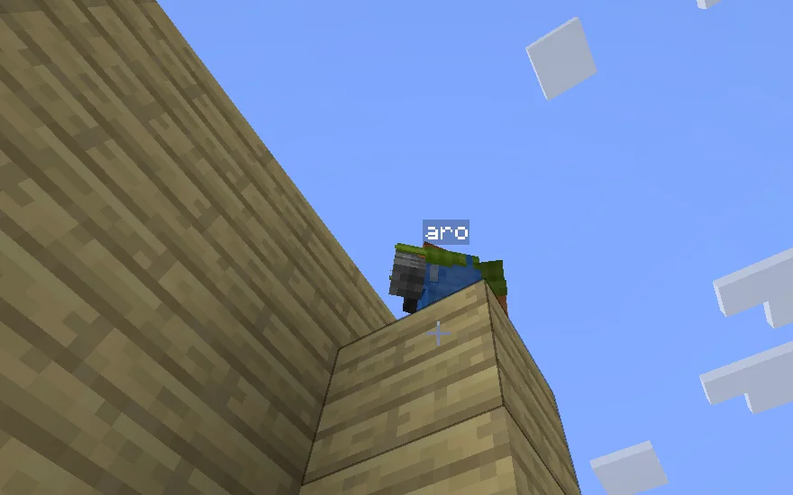 Minecraft screenshot: Aro stands on top of the plank wall of the cabin it is building.