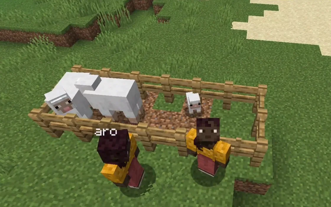 Minecraft screenshot: Aro poses by its sheep pen with the player after the first lamb was born.