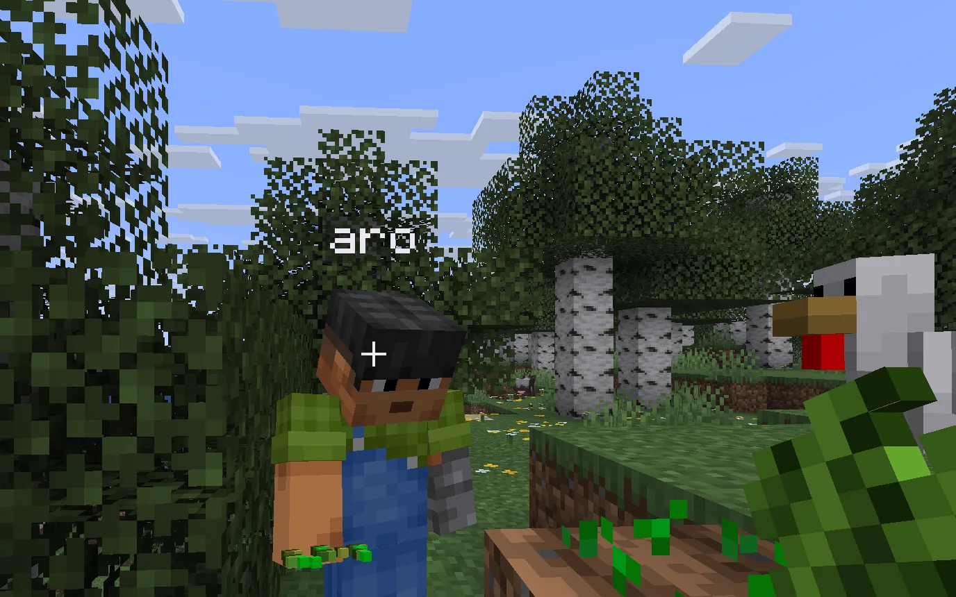 Minecraft screenshot: Aro stands beside its first sprouting wheat, a chicken nearby.